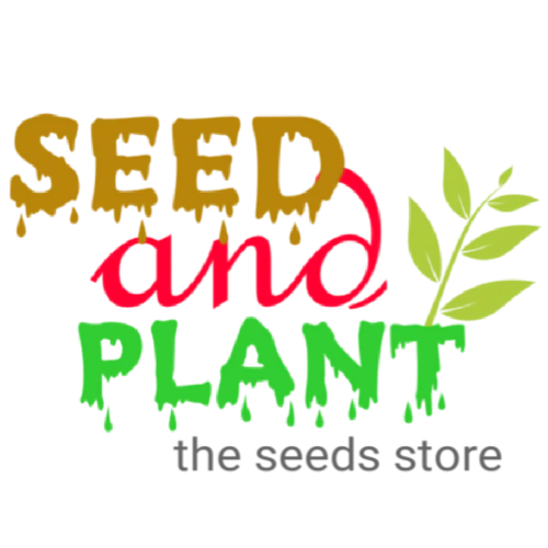 Seedandplant